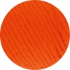 02 - Kürbis