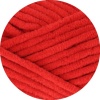06 - Rot
