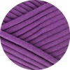 20 - Viola