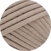23 - Taupe