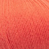 03 - Orange