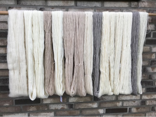 Artikelbild des Artikels “RAW by LANGYARNS “
