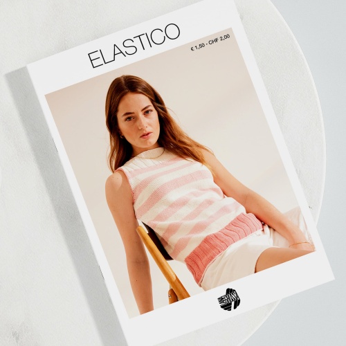Artikelbild des Artikels “Flyer Elastico 2022 “
