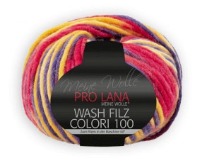 Artikelbild des Artikels “PRO LANA Wash Filz Colori 100 “