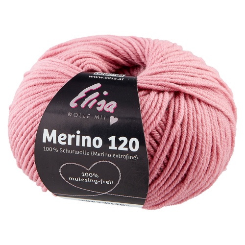 Artikelbild des Artikels “Elisa Merino 120 “