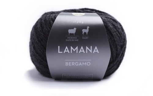 Artikelbild des Artikels “Lamana Bergamo “