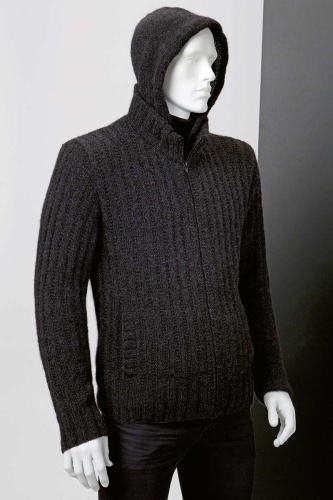 Artikelbild des Artikels “Kapuzenjacke  aus Cashmere Premium “