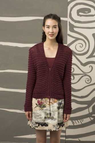 Artikelbild des Artikels “Jacke mit Reißverschluss aus Amira “