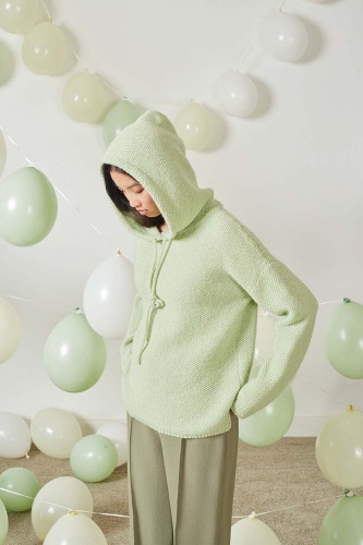 Artikelbild des Artikels “Kapuzenpullover Bernadette aus Regina “