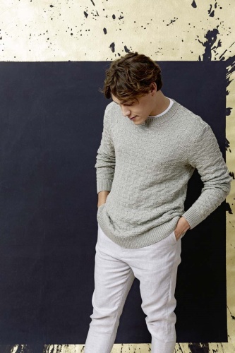 Artikelbild des Artikels “Herrenpullover aus Norma “
