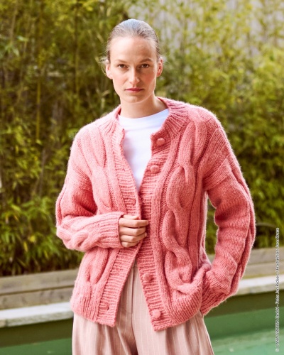 Artikelbild des Artikels “Zopfjacke aus Brigitte No. 2 “
