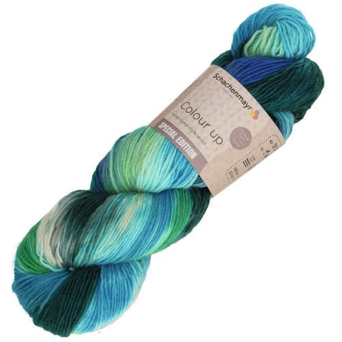 Artikelbild des Artikels “Schachenmayr Colour Up “