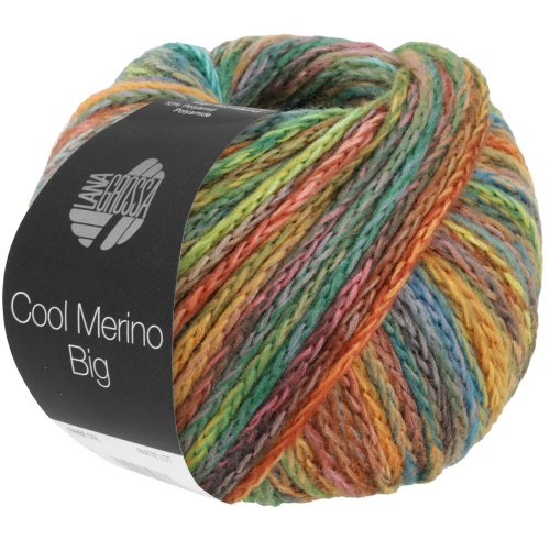 Artikelbild des Artikels “Lana Grossa Cool Merino Big Color “