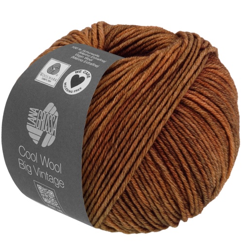 Artikelbild des Artikels “Lana Grossa Cool Wool Big Vintage “