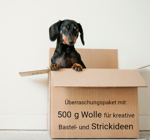 Artikelbild des Artikels “Überraschungspaket 500g Kreative Ideen “