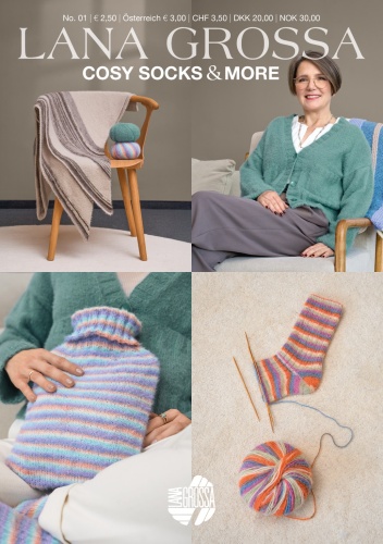 Artikelbild des Artikels “Lana Grossa Cosy Socks and More No. 1 “