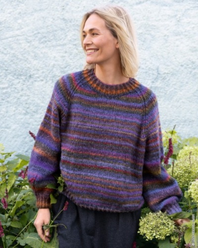 Artikelbild des Artikels “Raglanpullover aus Bomba “