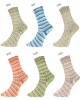 Artikelbild 2 des Artikels “Pro Lana Golden Socks Alicante 17 “