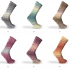 Artikelbild 2 des Artikels “Katia Concept Taika Socks 6-fach “