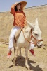 Artikelbild 3 des Artikels “Sweater Splendid Summer aus WOOLADDICTS Sunshine “