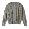 Artikelbild 3 des Artikels “Kurzer Cardigan aus Diversa “