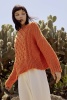 Artikelbild 3 des Artikels “Sweater Sweet Summer aus WOOLADDICTS Sunshine “