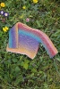 Artikelbild 4 des Artikels “Lang Yarns Punto 56 Layette Baby Cotton Color & Quattro Dégradé “
