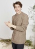Artikelbild 4 des Artikels “Herrenpullover mit Zopfmuster (II) aus Merino 120 “