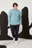 Artikelbild 4 des Artikels “Pullover  aus Merino+ “