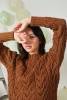 Artikelbild 4 des Artikels “Pullover Sonja aus YAK “