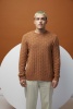 Artikelbild 4 des Artikels “Herrenpullover Adrian aus Oceania 1142.0168 - Dunkelbraun | M-L (550g)“