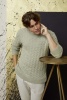 Artikelbild 4 des Artikels “Herrenpullover aus Norma “