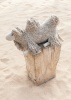 Artikelbild 4 des Artikels “Filati Home 59 “