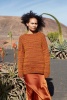 Artikelbild 5 des Artikels “Pullover Shades Of Gaia aus WOOLADDICTS Glamour “