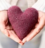 Artikelbild 7 des Artikels “TOPP Komm mit in Carolines Welt “