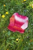 Artikelbild 8 des Artikels “Lang Yarns Baby Cotton Color “