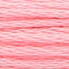 00024 - rose