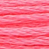 00027 - rosa