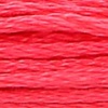 00038 - fuchsie