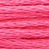 00062 - usambara-rose