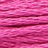00087 - hibiscus