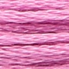 00096 - phlox