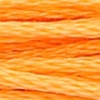 00313 - apricot