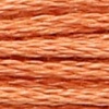 00369 - zimt