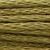 00844 - goldoliv