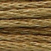 00856 - braunoliv