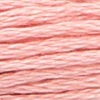 00893 - fraise