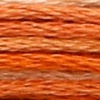 01218 - braun ombre