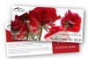 2 - Blumen