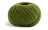 66 - Kiwi